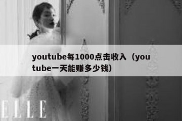 youtube每1000点击收入（youtube一天能赚多少钱）