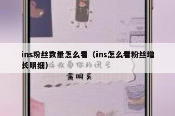 ins粉丝数量怎么看（ins怎么看粉丝增长明细）