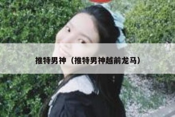 推特男神（推特男神越前龙马）