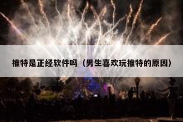 推特是正经软件吗（男生喜欢玩推特的原因）
