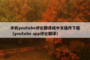 手机youtube评论翻译成中文插件下载（youtube app评论翻译）