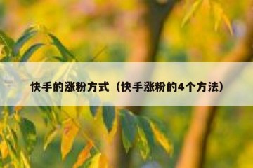 快手的涨粉方式（快手涨粉的4个方法）