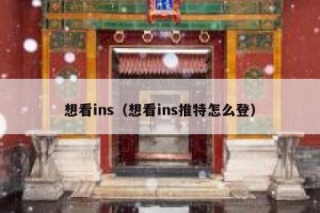 想看ins（想看ins推特怎么登）