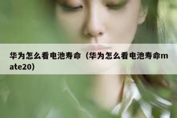 华为怎么看电池寿命（华为怎么看电池寿命mate20）