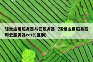 轻量应用服务器与云服务器（轻量应用服务器和云服务器ecs的区别）