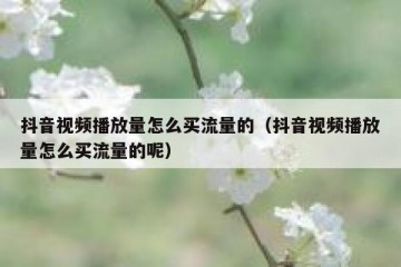 抖音视频播放量怎么买流量的（抖音视频播放量怎么买流量的呢）