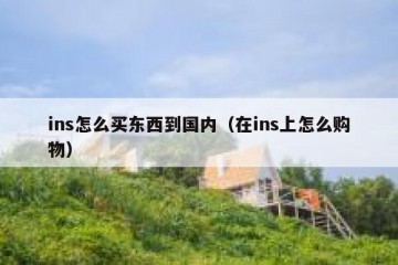 ins怎么买东西到国内（在ins上怎么购物）
