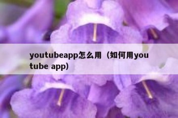 youtubeapp怎么用（如何用youtube app）