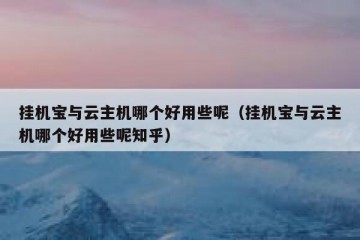 挂机宝与云主机哪个好用些呢（挂机宝与云主机哪个好用些呢知乎）