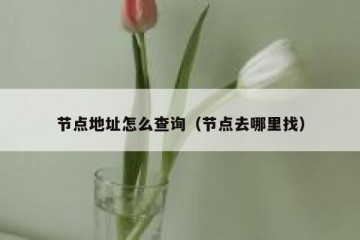 节点地址怎么查询（节点去哪里找）