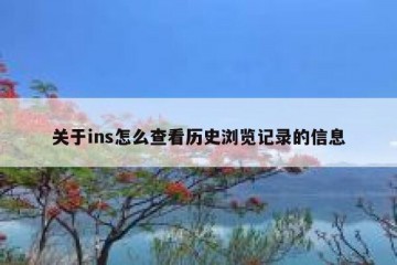 关于ins怎么查看历史浏览记录的信息