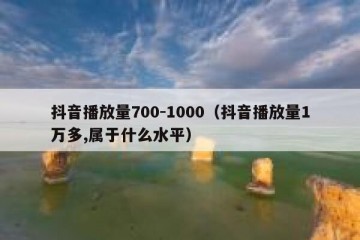 抖音播放量700-1000（抖音播放量1万多,属于什么水平）