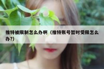 推特被限制怎么办啊（推特账号暂时受限怎么办?）