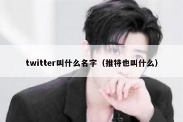 twitter叫什么名字（推特也叫什么）