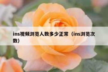 ins视频浏览人数多少正常（ins浏览次数）
