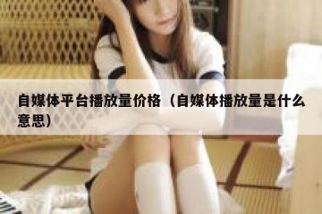 自媒体平台播放量价格（自媒体播放量是什么意思）