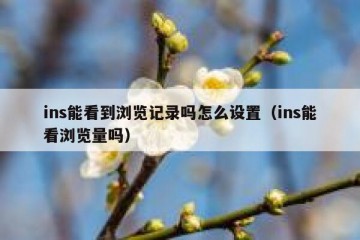 ins能看到浏览记录吗怎么设置（ins能看浏览量吗）