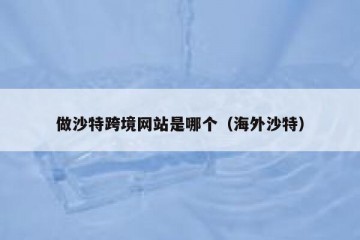 做沙特跨境网站是哪个（海外沙特）
