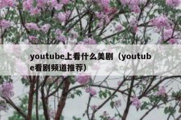 youtube上看什么美剧（youtube看剧频道推荐）