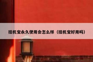 挂机宝永久使用会怎么样（挂机宝好用吗）
