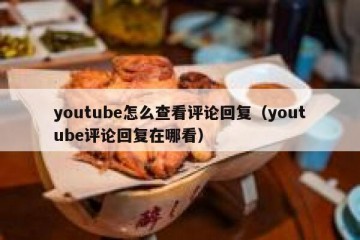 youtube怎么查看评论回复（youtube评论回复在哪看）