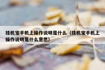 挂机宝手机上操作说明是什么（挂机宝手机上操作说明是什么意思）