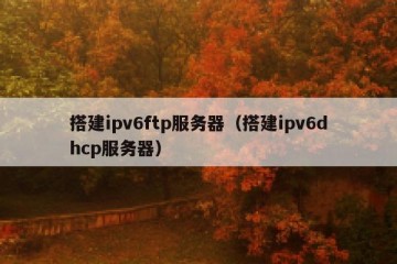搭建ipv6ftp服务器（搭建ipv6dhcp服务器）