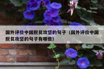 国外评价中国脱贫攻坚的句子（国外评价中国脱贫攻坚的句子有哪些）