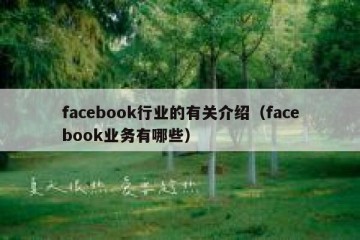 facebook行业的有关介绍（facebook业务有哪些）