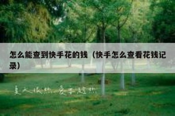 怎么能查到快手花的钱（快手怎么查看花钱记录）