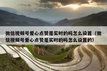 微信视频号爱心点赞是实时的吗怎么设置（微信视频号爱心点赞是实时的吗怎么设置的）