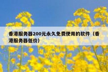 香港服务器200元永久免费使用的软件（香港服务器低价）