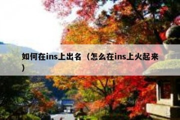 如何在ins上出名（怎么在ins上火起来）