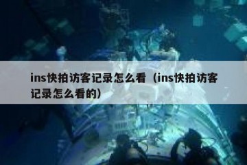 ins快拍访客记录怎么看（ins快拍访客记录怎么看的）
