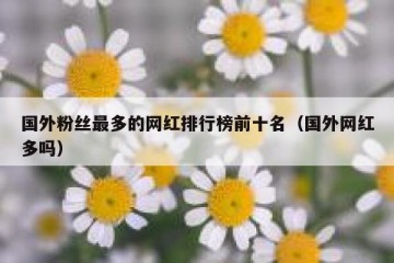 国外粉丝最多的网红排行榜前十名（国外网红多吗）