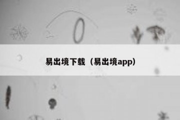 易出境下载（易出境app）