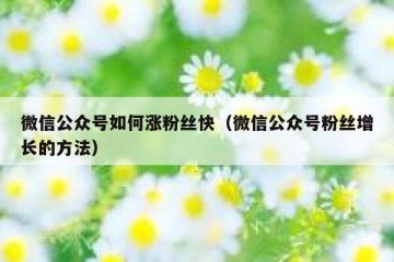 微信公众号如何涨粉丝快（微信公众号粉丝增长的方法）