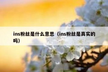 ins粉丝是什么意思（ins粉丝是真实的吗）