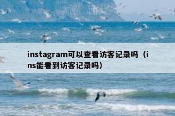 instagram可以查看访客记录吗（ins能看到访客记录吗）