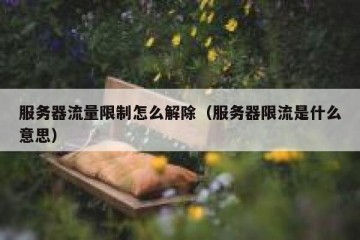 服务器流量限制怎么解除（服务器限流是什么意思）