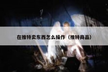 在推特卖东西怎么操作（推特商品）