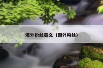 海外粉丝英文（国外粉丝）
