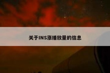 关于INS涨播放量的信息