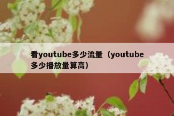 看youtube多少流量（youtube多少播放量算高）