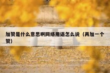 加赞是什么意思啊网络用语怎么说（再加一个赞）