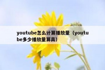 youtube怎么计算播放量（youtube多少播放量算高）