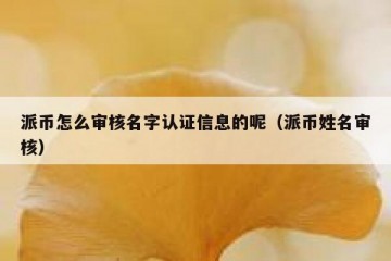 派币怎么审核名字认证信息的呢（派币姓名审核）