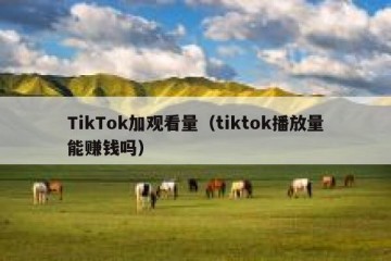 TikTok加观看量（tiktok播放量能赚钱吗）