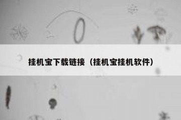 挂机宝下载链接（挂机宝挂机软件）