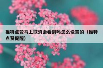 推特点赞马上取消会看到吗怎么设置的（推特点赞提醒）